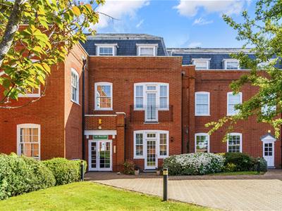 Picture 15